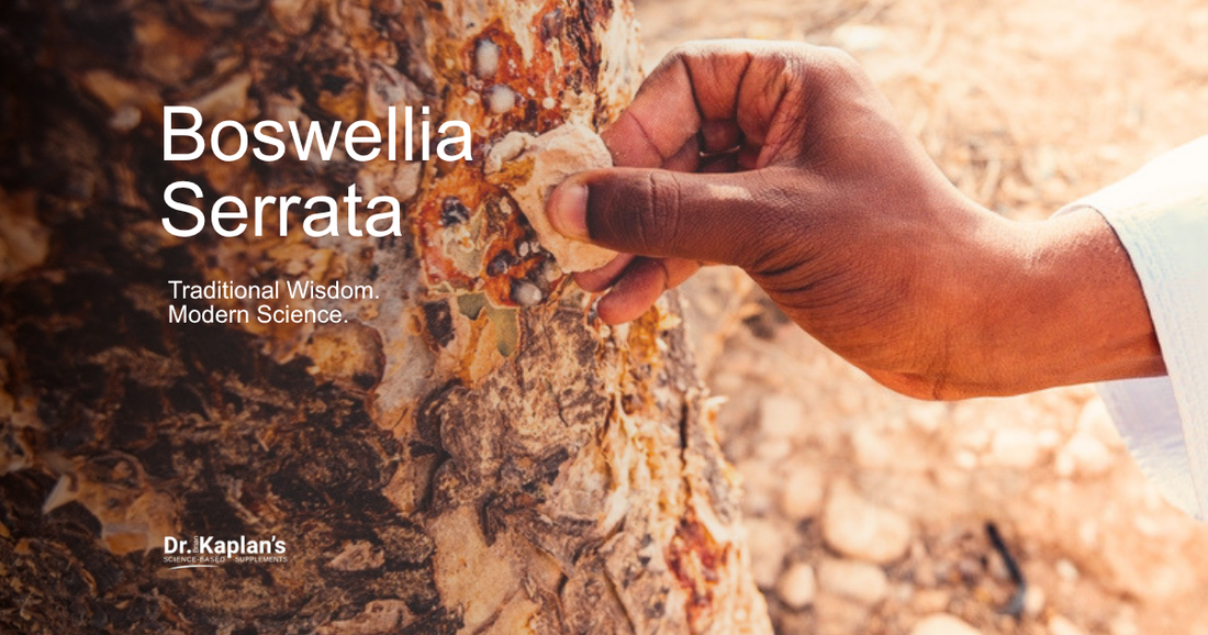 Boswellia Serrata and Brain Health: Exploring the Science Behind a Traditional Botanical