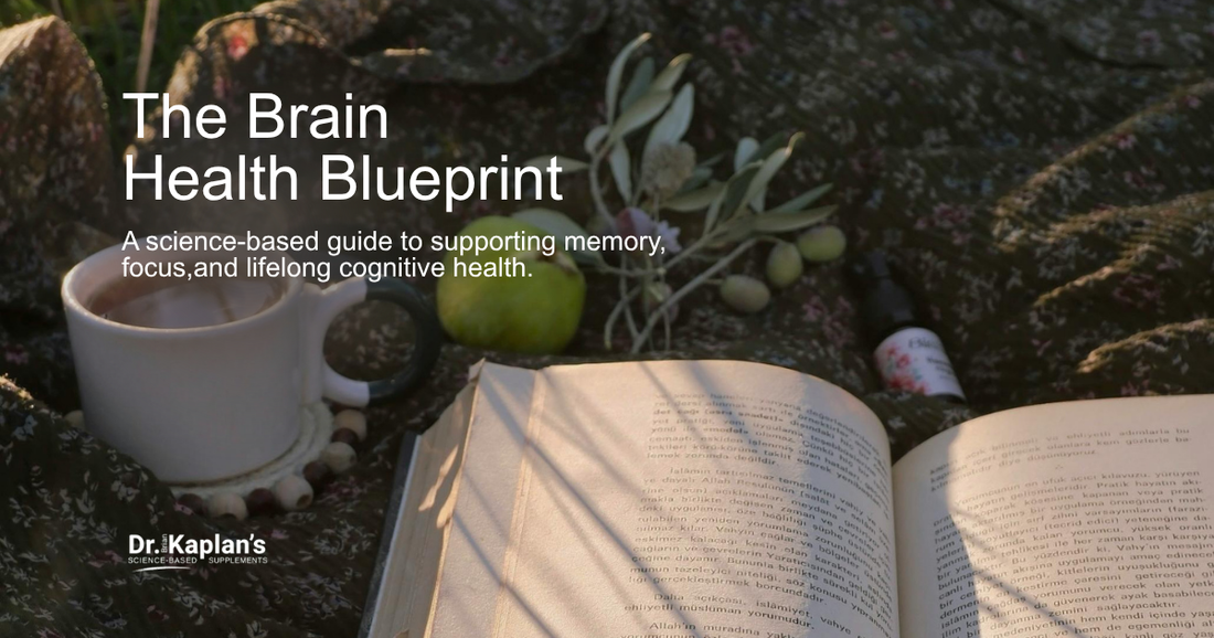 The Brain Health Blueprint-A Doctor's Guide to Enhancing and Supporting Brain Health