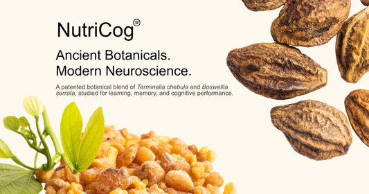 NutriCog®: The Science Behind a Novel Botanical Blend for Memory, Learning & Cognitive Performance