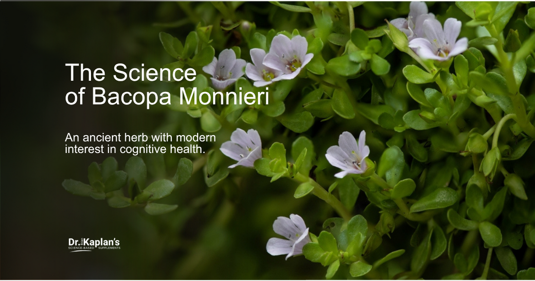 Bacopa Monnieri: Science-Backed Benefits for Memory, Focus & Brain Health