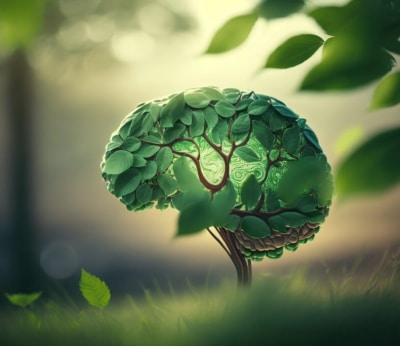 Why BDNF is the Brain’s Secret Superpower